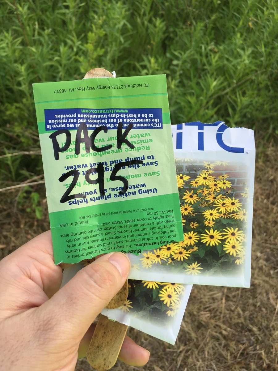Ypsi_Cubmaster's tweet photo. #cubscouts #pack295 #pack249 Planting wild flowers #serviceproject on a lovely evening hike. Thank you @YpsilantiTwp https://t.co/OWHbr6UIVf