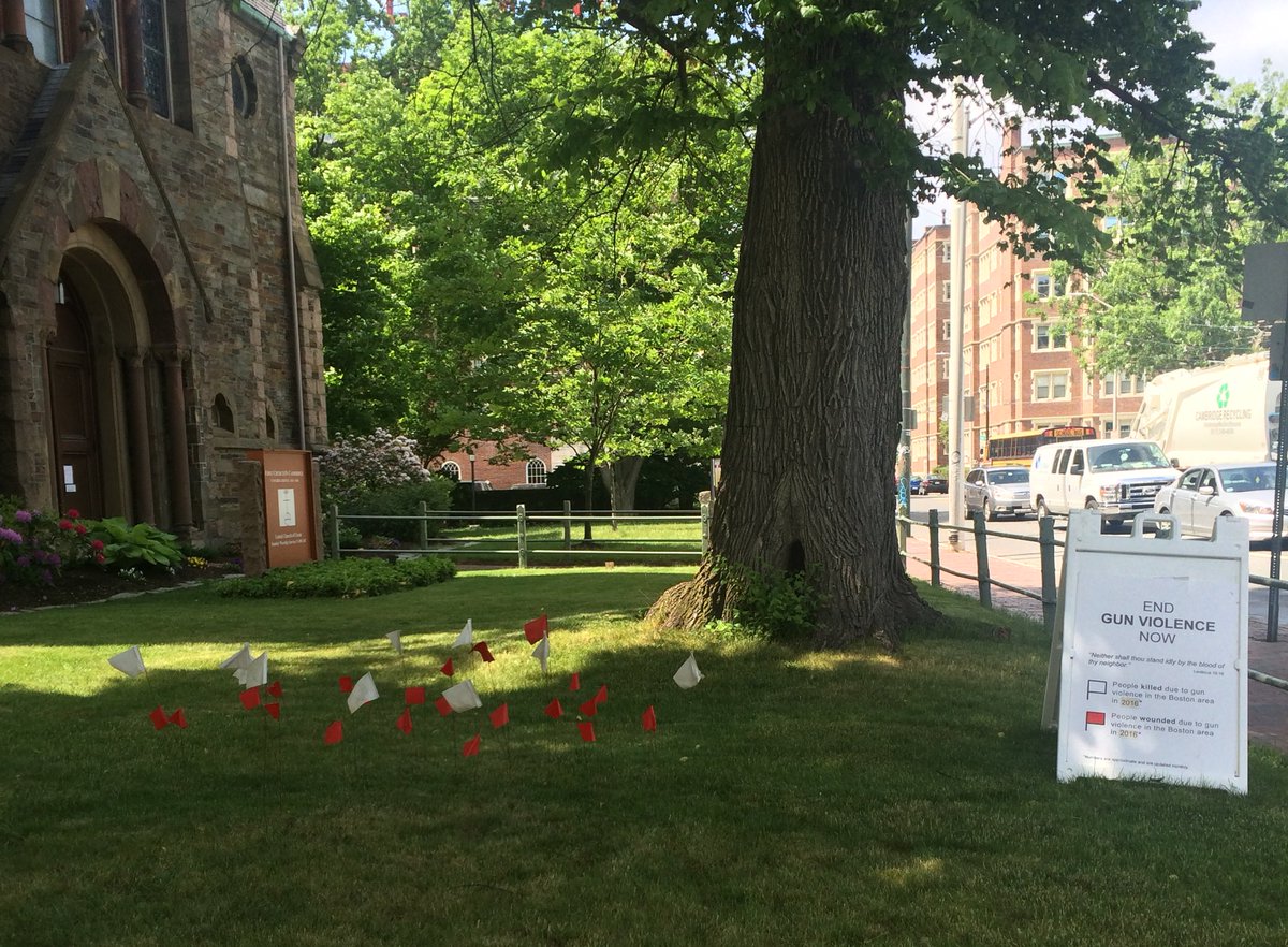 ciaogena's tweet photo. #datavis in the wild: white flags = people killed by gun violence in Boston in 2016, red flags = people wounded https://t.co/aP1EHCStoo
