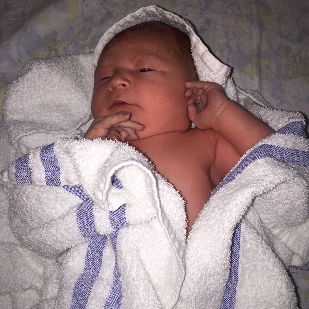 gavinhaynes's tweet photo. 'No Name' Haynes. Arrived today and already broke our hearts. #itsaboy #handsomelad #newparents #holyshit https://t.co/acUGbiqgoF