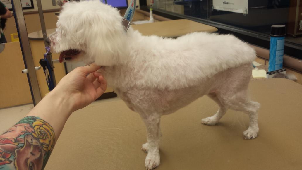 SmangOrDie's tweet image. "Fuck me up with that turtle cut."