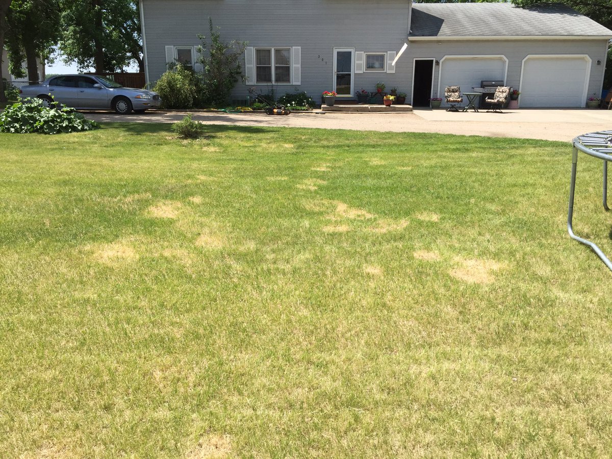 cleppep's tweet image. Always agitate before spraying a herbicide. I should listen to myself.