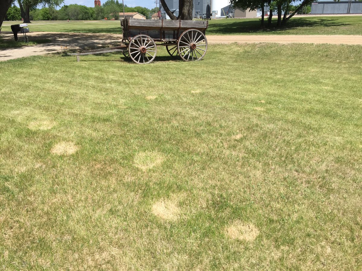 cleppep's tweet image. Always agitate before spraying a herbicide. I should listen to myself.