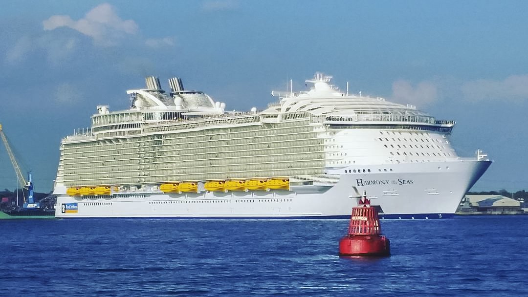 RoyalCaribbean's tweet photo. Queen 🐝. #HarmonyoftheSeas pic by Ty-Bo Boxer. https://t.co/enQfDlQKwM