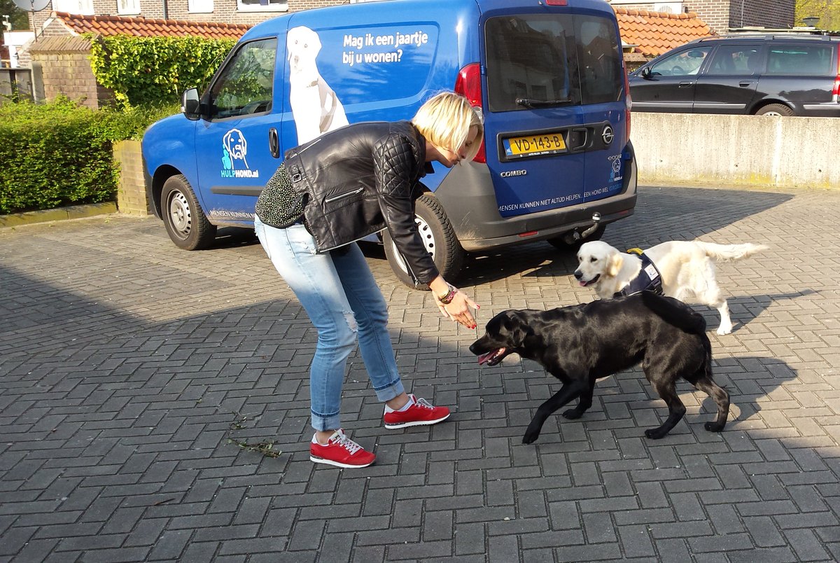 In categorie #therapiehond Diaz met BN'er: Diaz met <a href="/AnoukMSmulders/">Anouk Smulders</a> ... bit.ly/1YOEiMe  #crowdfunding 2/3