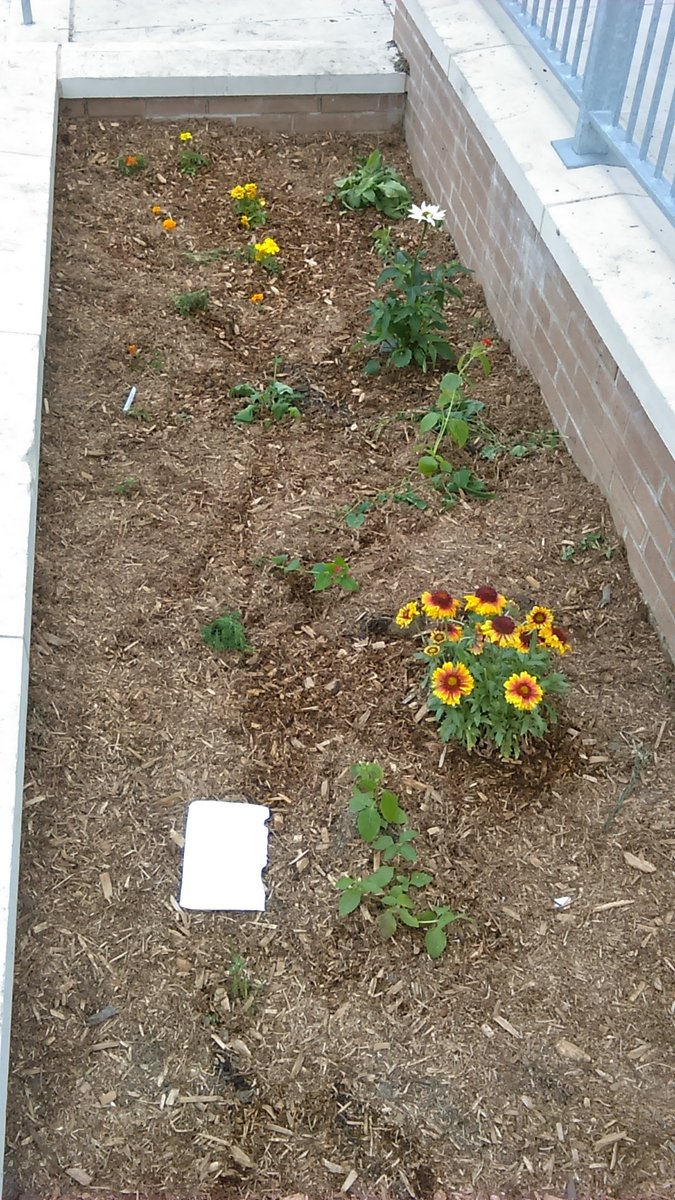 SBBeachy's tweet photo. @AceHardware @SCH_51 @Aprice01P @BaltCitySchools https://t.co/ifaZMRi5uG