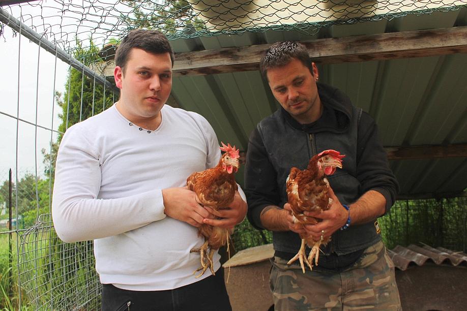 Le_Progres's tweet photo. Haute-Loire | La SPA sauve 60 poules de l’enfer du GAEC du Perrat https://t.co/yBWdBqip9f https://t.co/KbqwpRZzKg