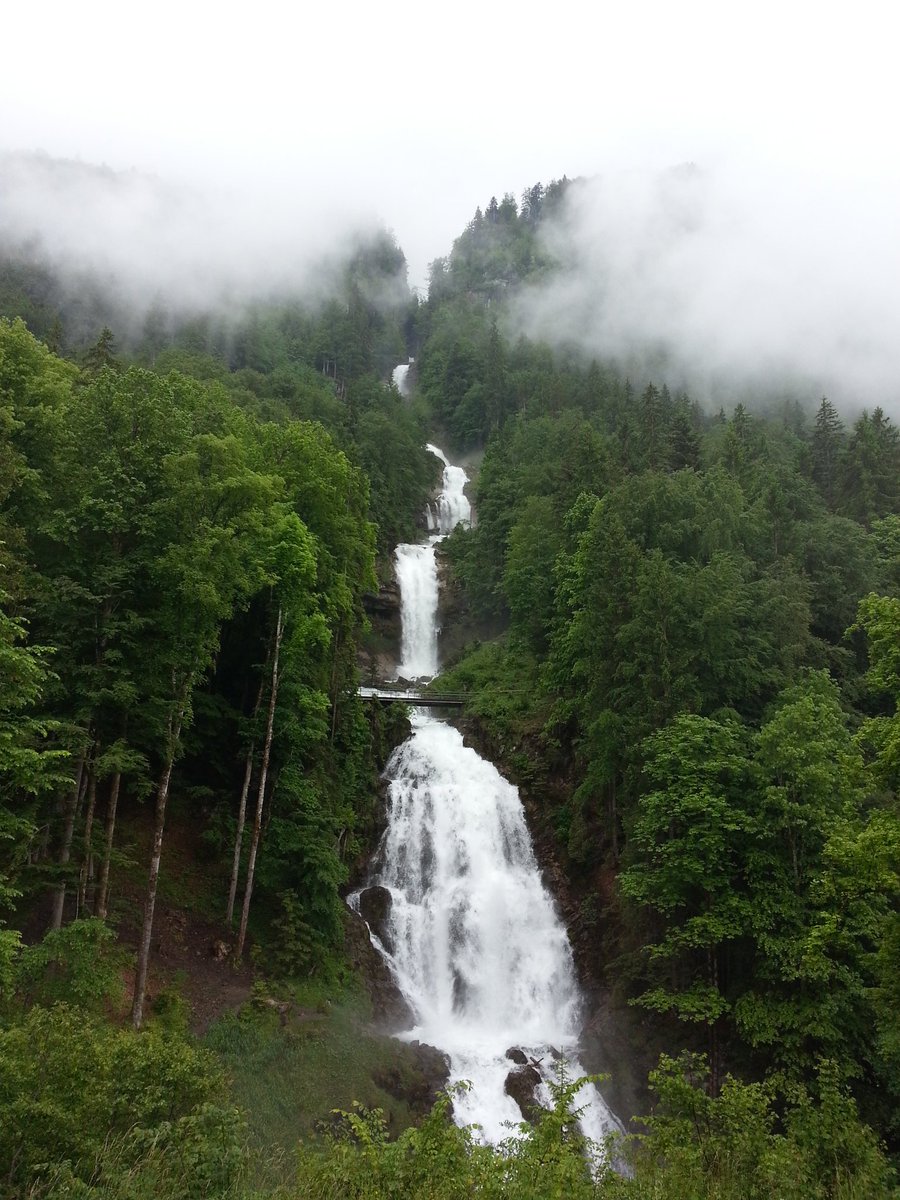 nesroloji's tweet photo. #swiss #bienz https://t.co/LofVN10p16