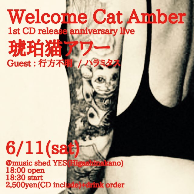 [WCA] Welcome Cat Amber ���R�����C�u!