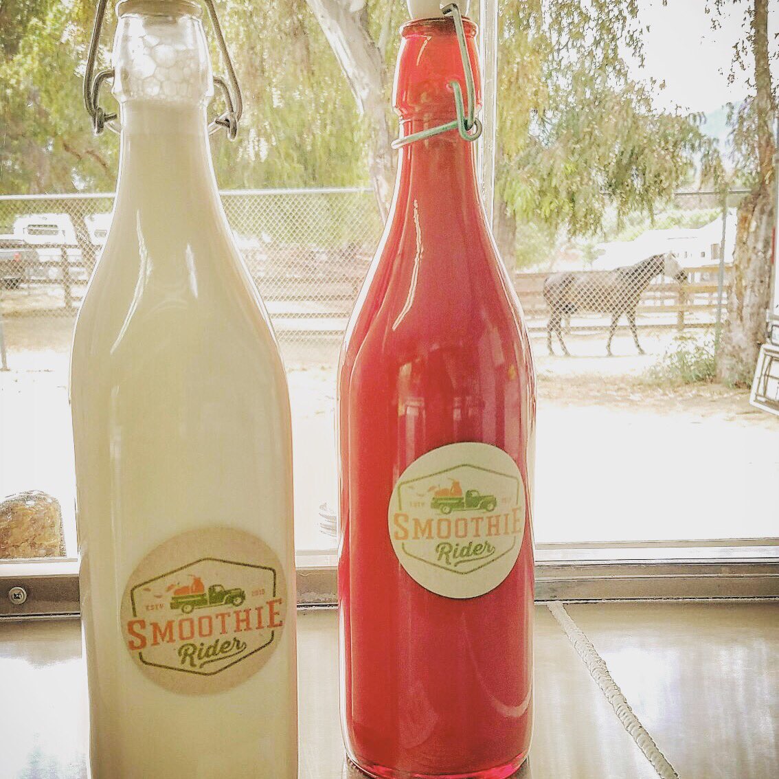 SmoothieRider's tweet photo. Almond milk made on the spot. #paleontology #paleo #vegan #vegan #smoothies #foodie #sports #health https://t.co/Fy0VeBkZfB
