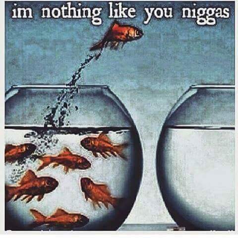 codac_7's tweet image. iSwear