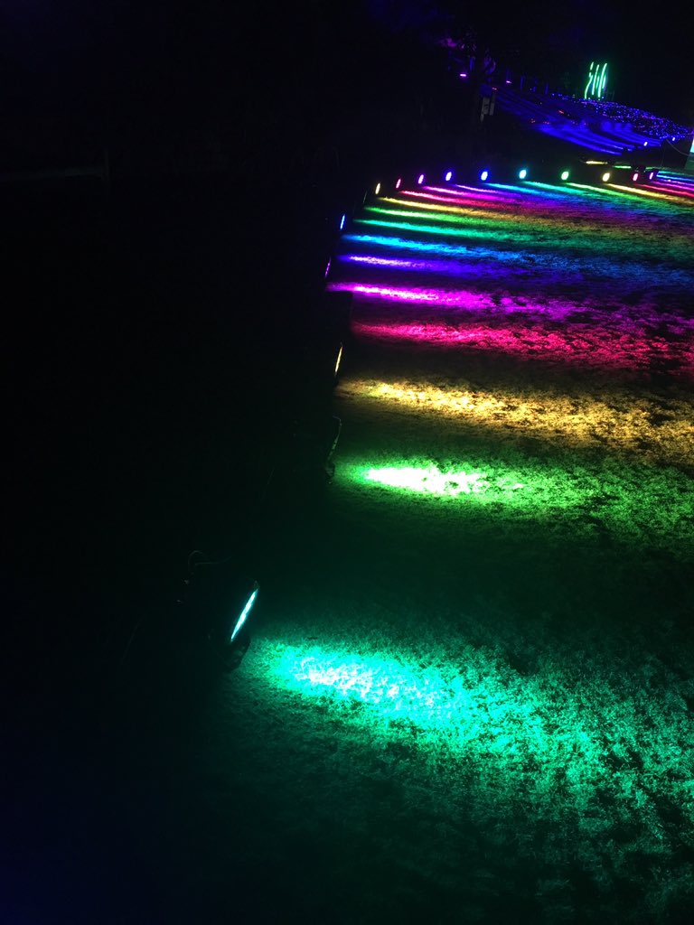 flocoder's tweet image. #vividsydney
