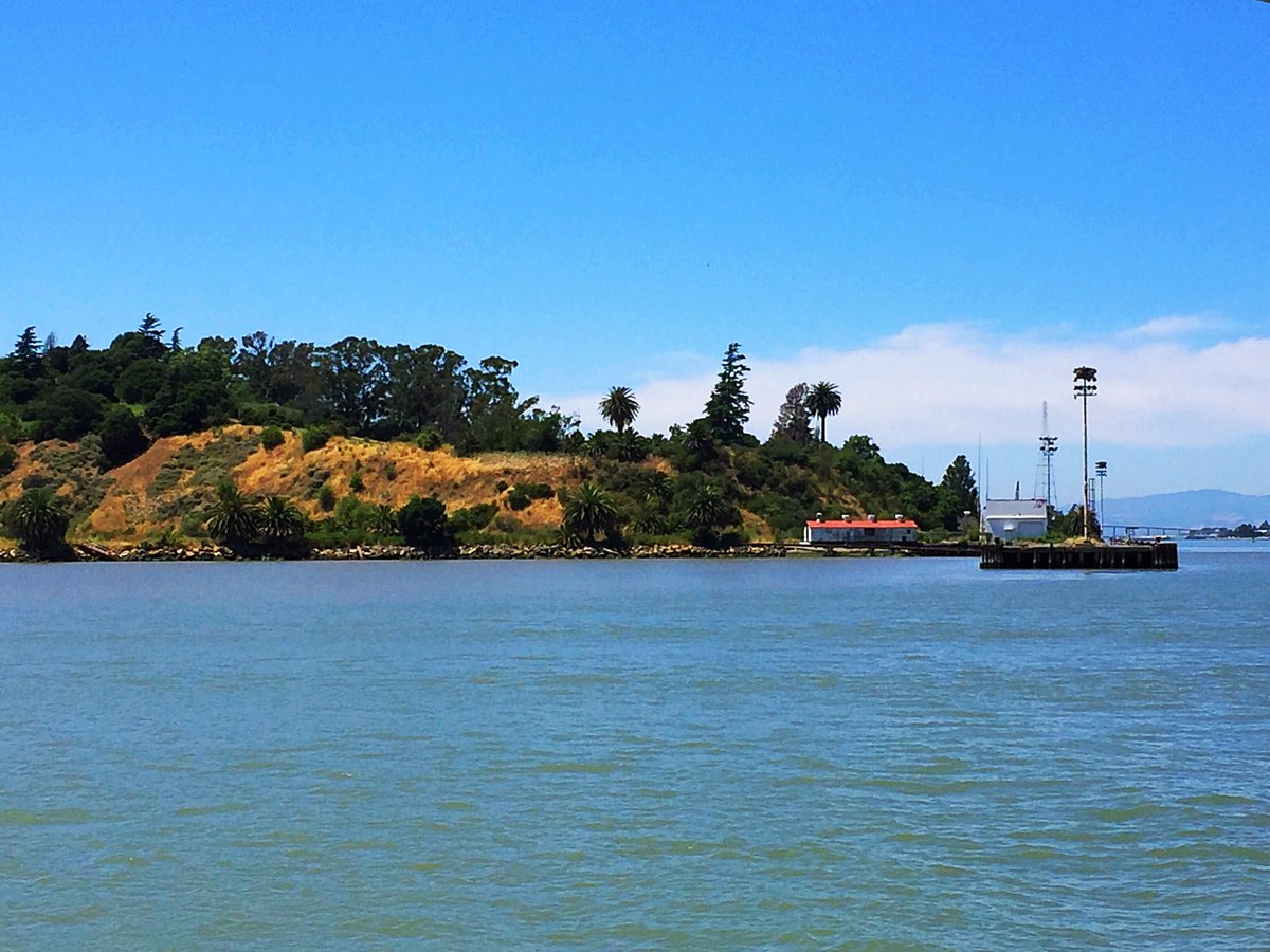 reallybethann's tweet photo. Bye for now, Mare! #ferryview #sanfranciscobound https://t.co/CjpN2GmX10