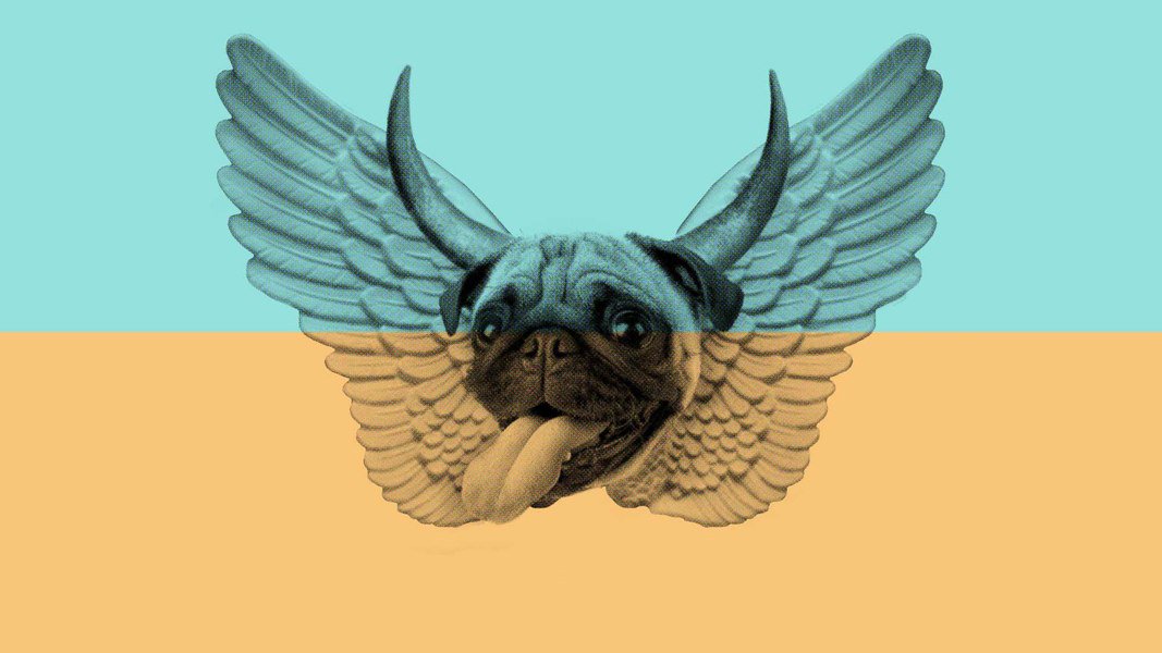 Dallas music fest <a href="/Bulladora/">Bulladora</a> has been canceled due to weather guidelive.com/music/2016/06/…