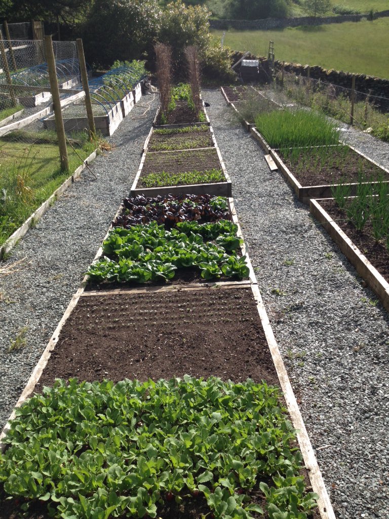 Things are moving along nicely now in the kitchen garden <a href="/TheSamlingHotel/">The Samling</a>