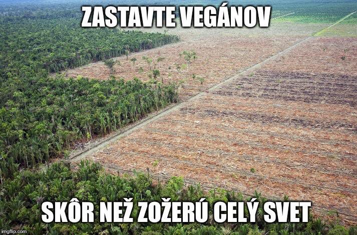 slovesko1's tweet photo. https://t.co/ksQ4Gp8LfL