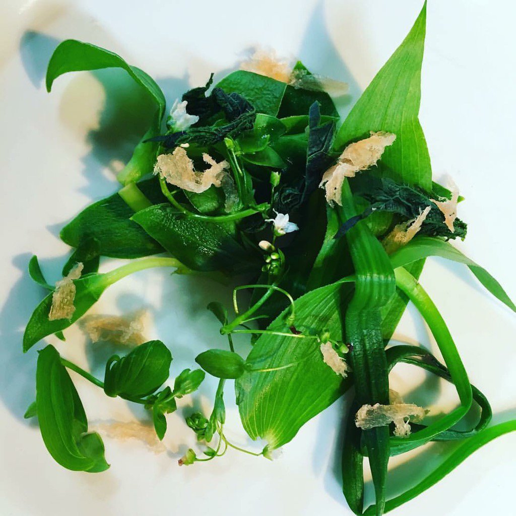 SALTalaska's tweet photo. Foraged greens and shaved salmon lox! #wheretoeatinjuneau https://t.co/i5pp8ccYTR