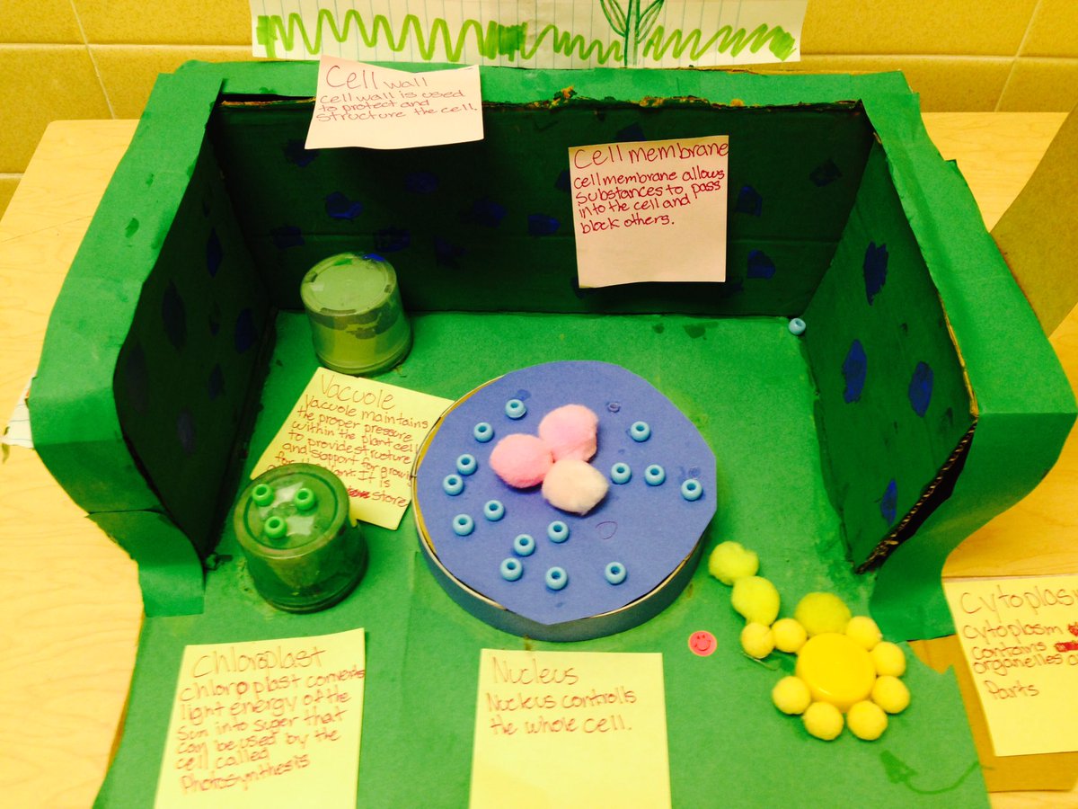 AnnandaleTerrace AAP tweet media