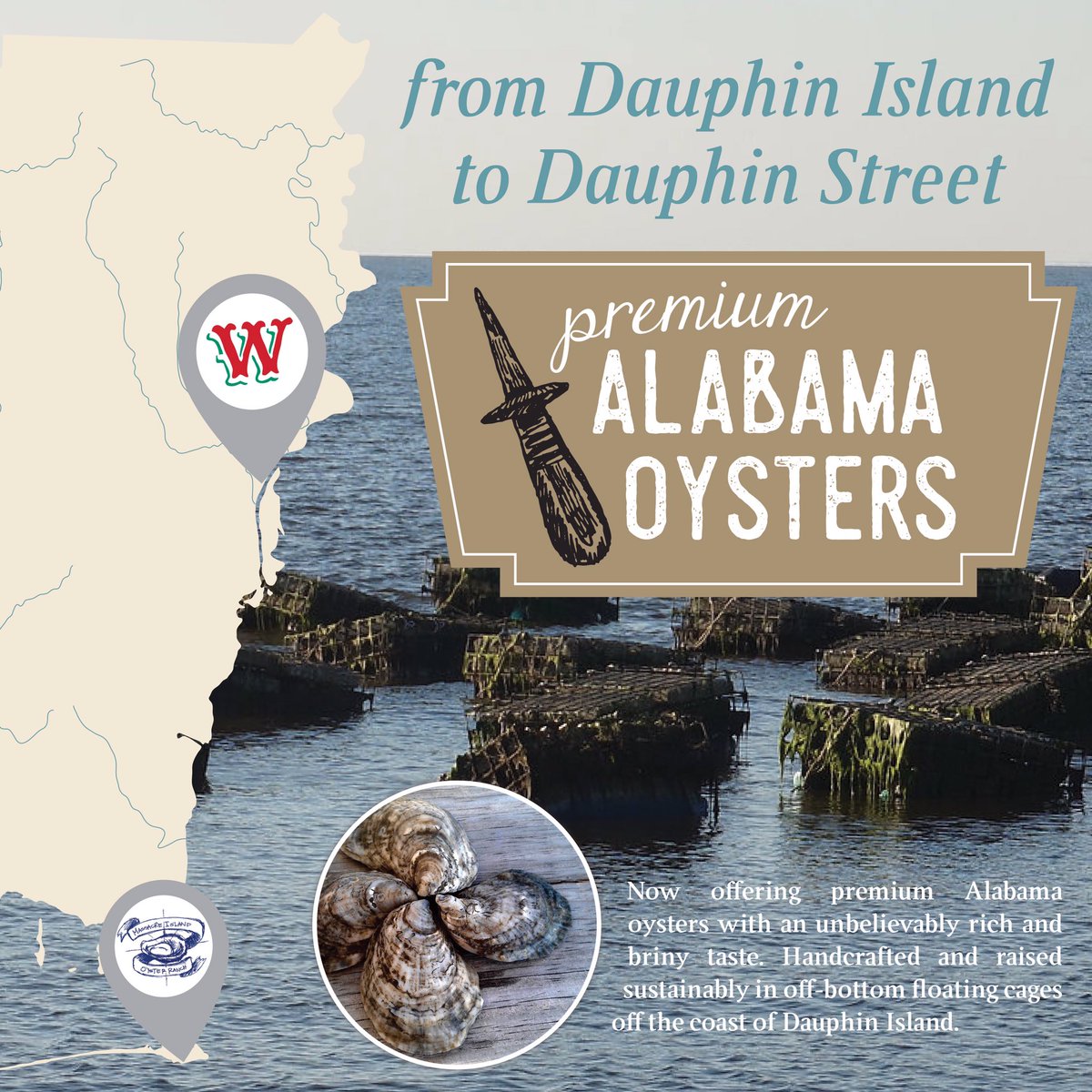 Now serving premium "boutique" oysters from <a href="/MIORoysters/">MassacreIslandOyster</a> at our Dauphin St. location! #ALseafood #rich #briny #yum
