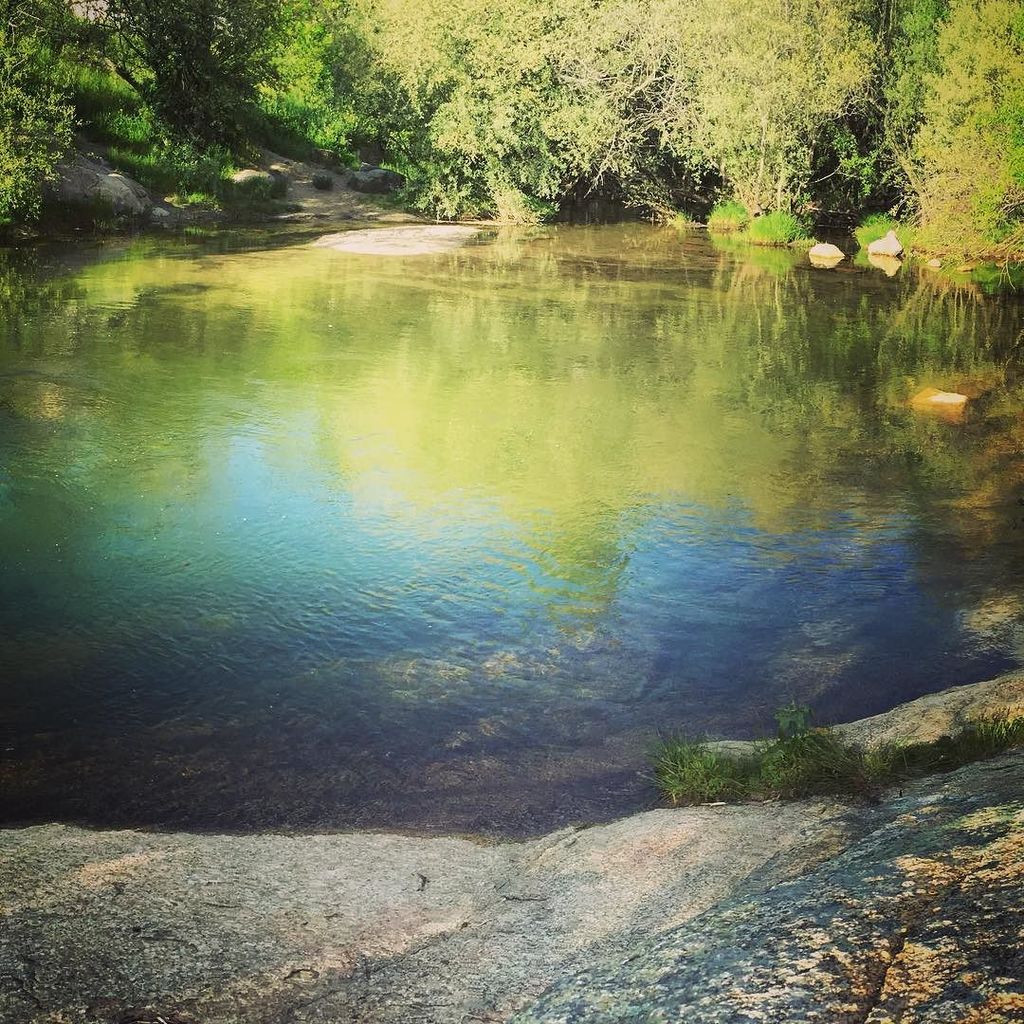 vivalapedri's tweet photo. .@yildelen: Calma y quietud en esta poza del Río Manzanares, a pocos días de que se prohíb… https://t.co/h9UrZIwviQ https://t.co/E6iJji4GDo