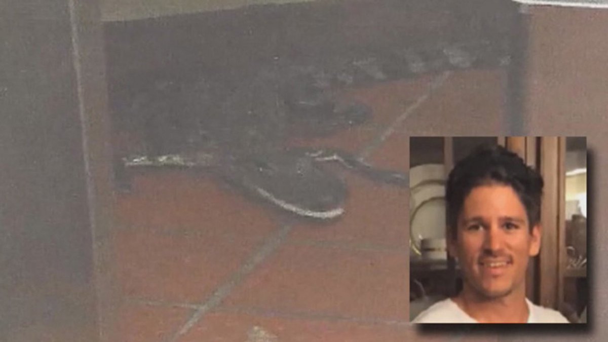 Fla. man sentenced for throwing live #alligator into @Wendys drive-thru window bit.ly/1TVgepV?utm_me… https://t.co/n9QTpaXJrr