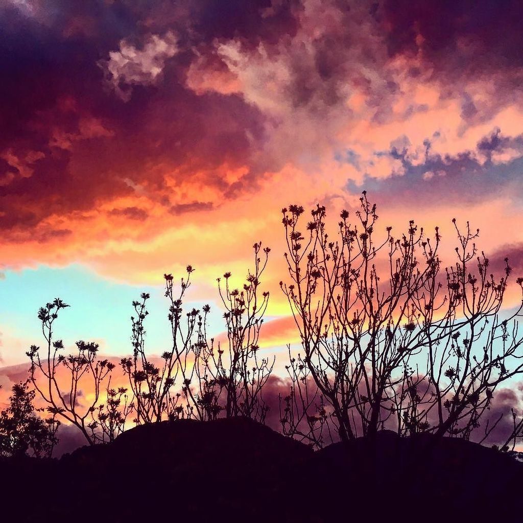 Incredible colour in the sunset over the Pyrenees #sunset #stunningsunset #mountains #pyrenees #natureshots #ordino…