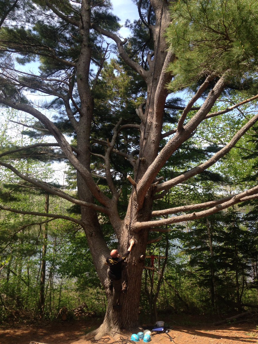 Make_Do_Camp's tweet photo. @hpxjosh @novascotiamusic #TheClimbingTree https://t.co/F9GZjPTA60