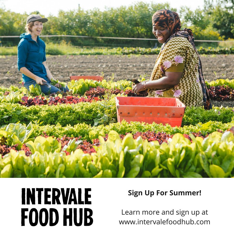IntervaleFH tweet picture