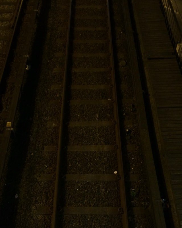 Life at Warp Speed!! tweet media