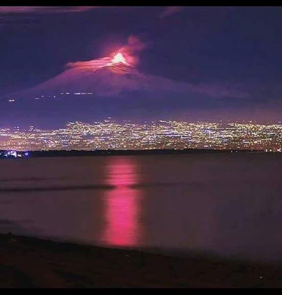 Daniela Belfiore La Bellezza Della Natura
