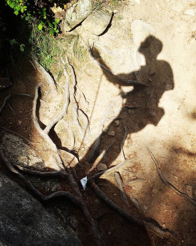 vivalapedri's tweet photo. .@jpisco22: "Hoy somos solo sombras de lo que llegamos a ser"
#Welcomeback #escaladaenroca… https://t.co/vAtu7KB8CP https://t.co/rlEG6xWTED