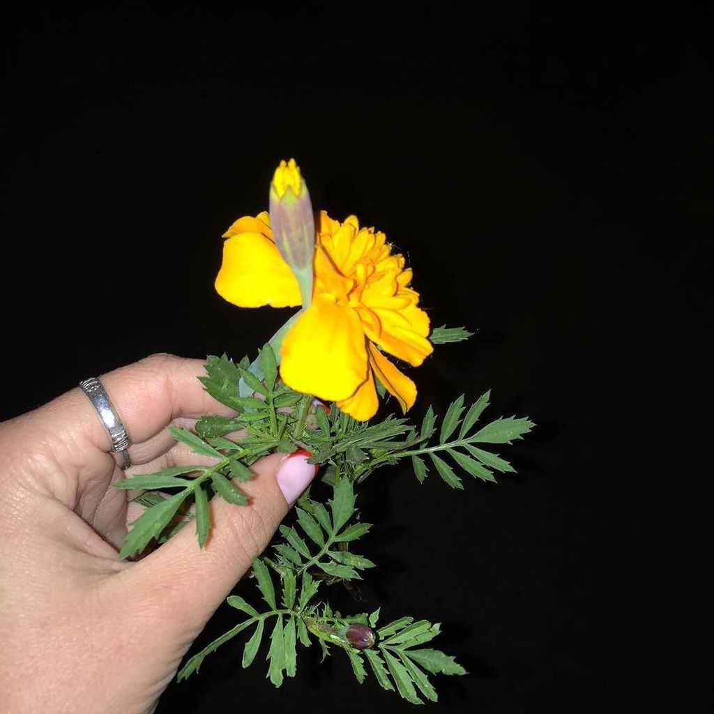instaRybinsk's tweet photo. Подарили мне) by sserebryakova_ https://t.co/SHnnL0Vl1q https://t.co/9DGNqFEodb