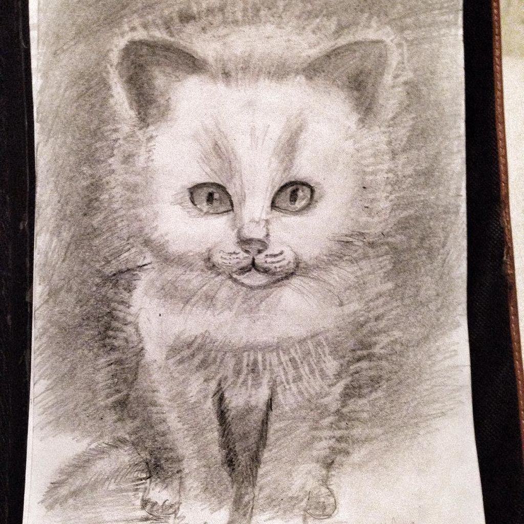 🐈🐈🐈🐈#хобби#рисуноккарандашом✏ #ейск