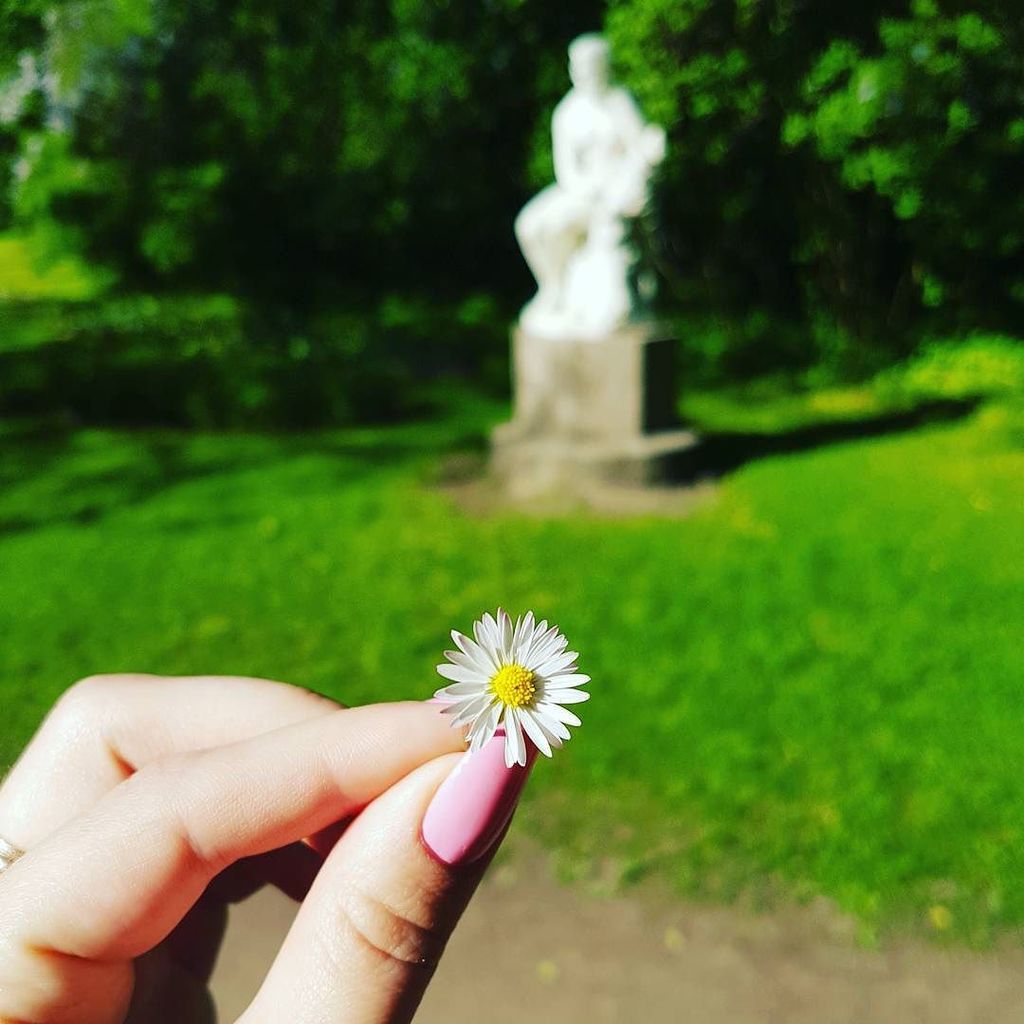 Daisy 😊 Galaxy S7