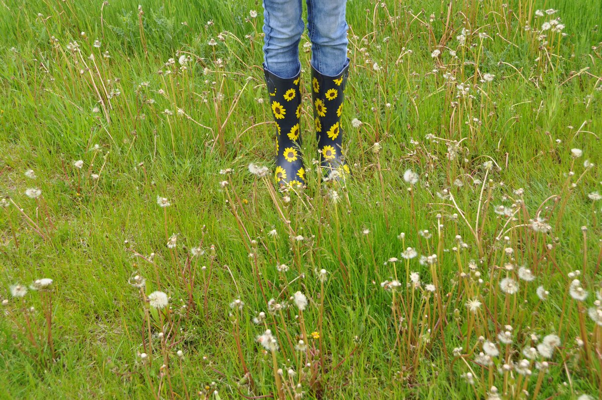 grade6learners's tweet photo. We love nature!! Final day of the Suzuki 30x30 nature challenge. #Lovenature @StMargRCSD @RCSD_No81 https://t.co/ffnyrQY9Sr