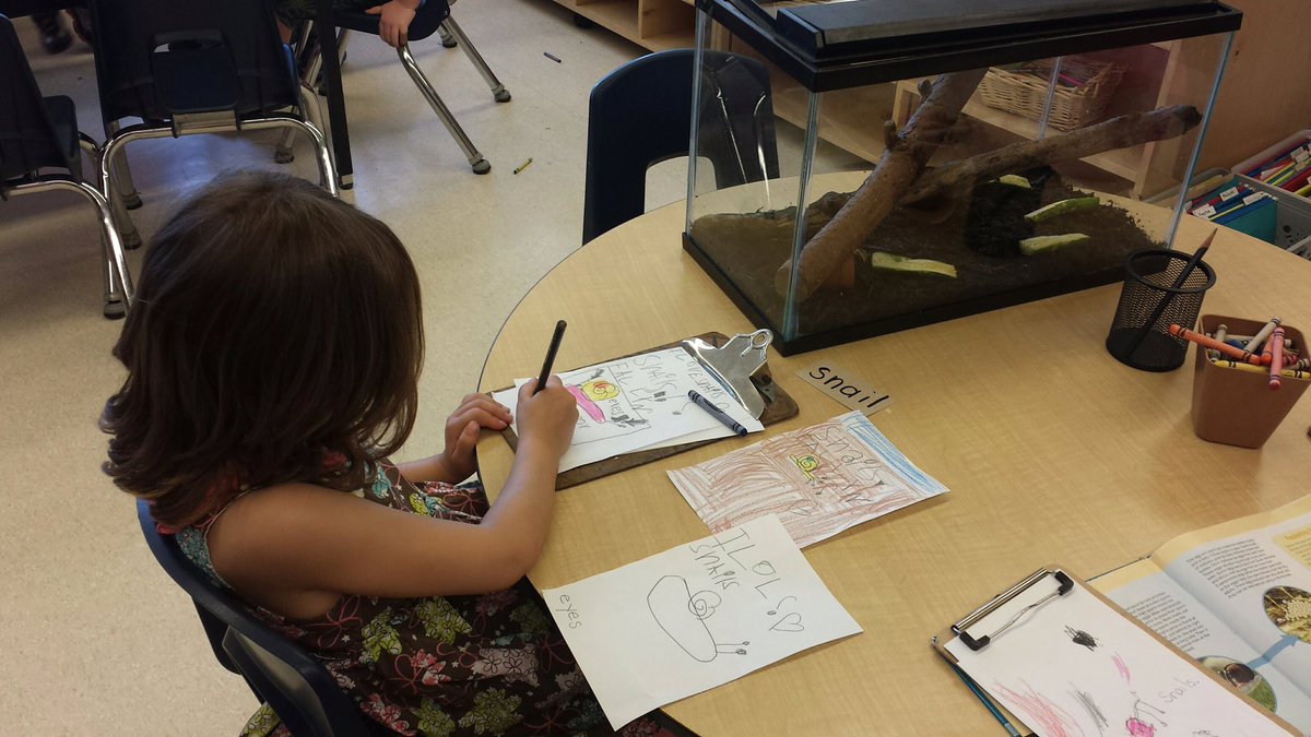 Coronation Cougars tweet media