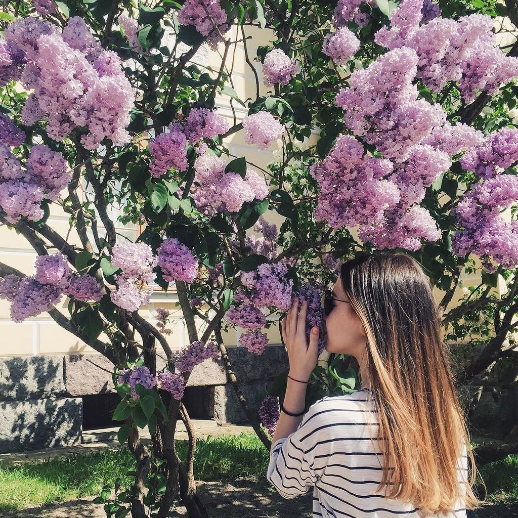 🌸