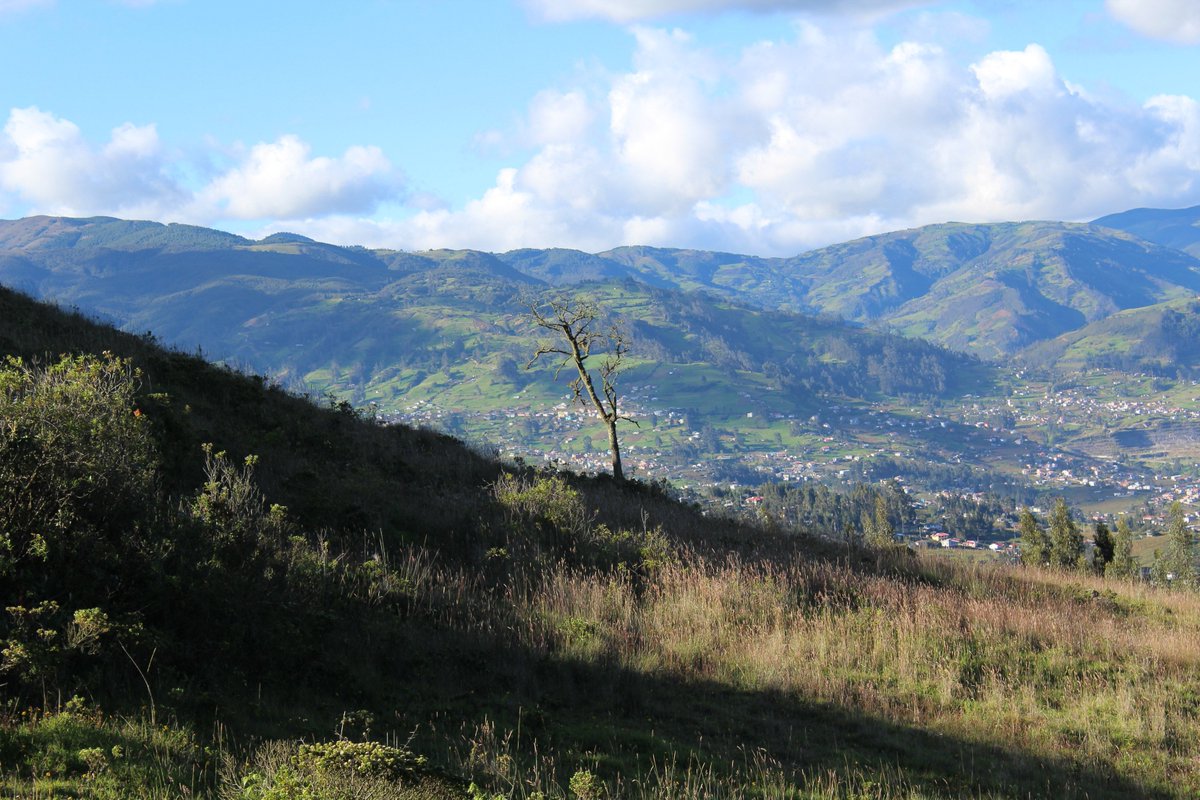 CESARCECAMP's tweet photo. Paisajes que el turista #Visita en #Azogues @FotoEcuador @ViajaPrimeroEC @TrenEcuador @inbuga #ecalada https://t.co/BABydSI6mf