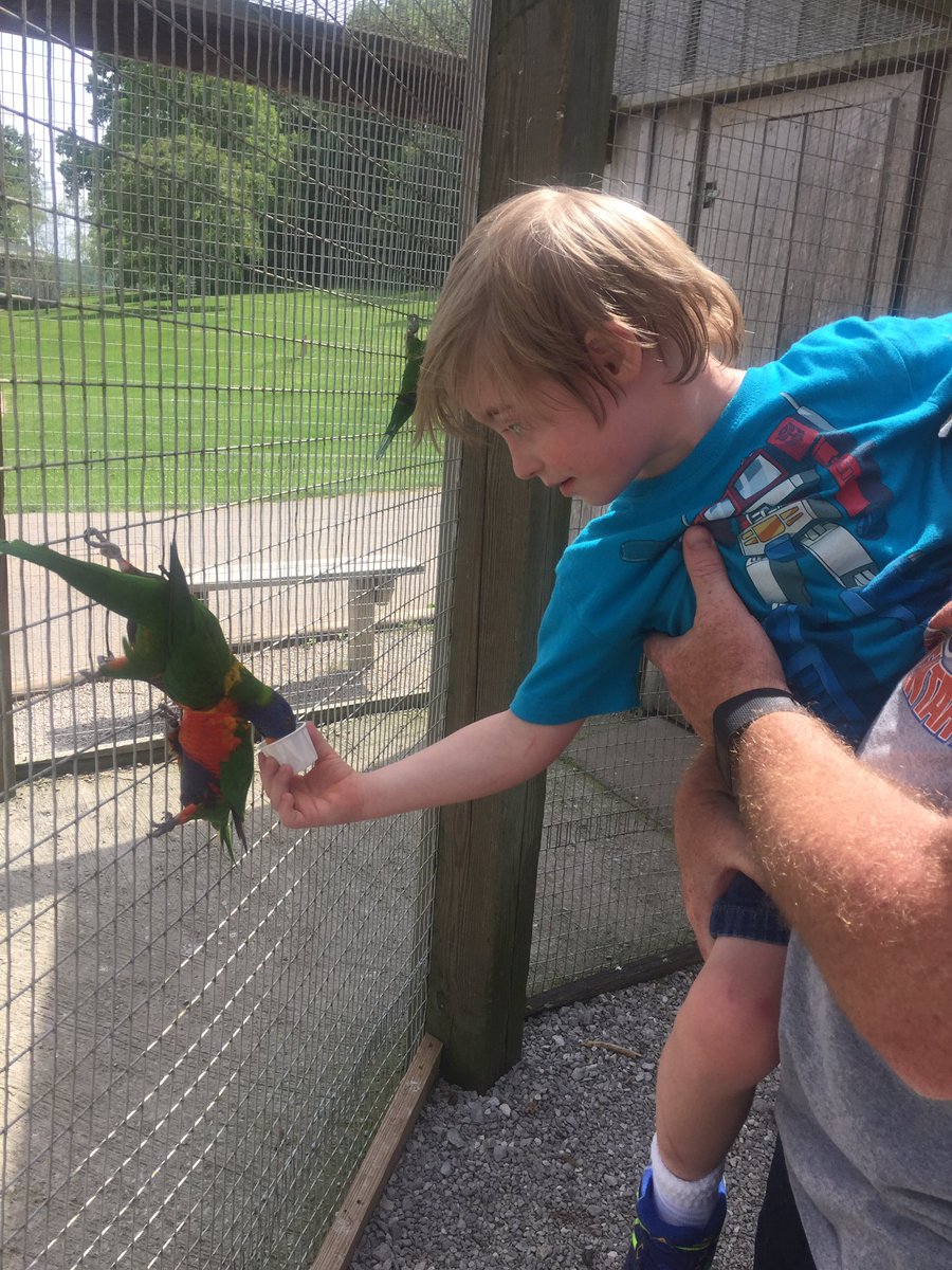 gaycr's tweet photo. Kangaroo petting and bird feeding at Kentucky Down Under!@NatcherElem https://t.co/IGdAMkzJKM