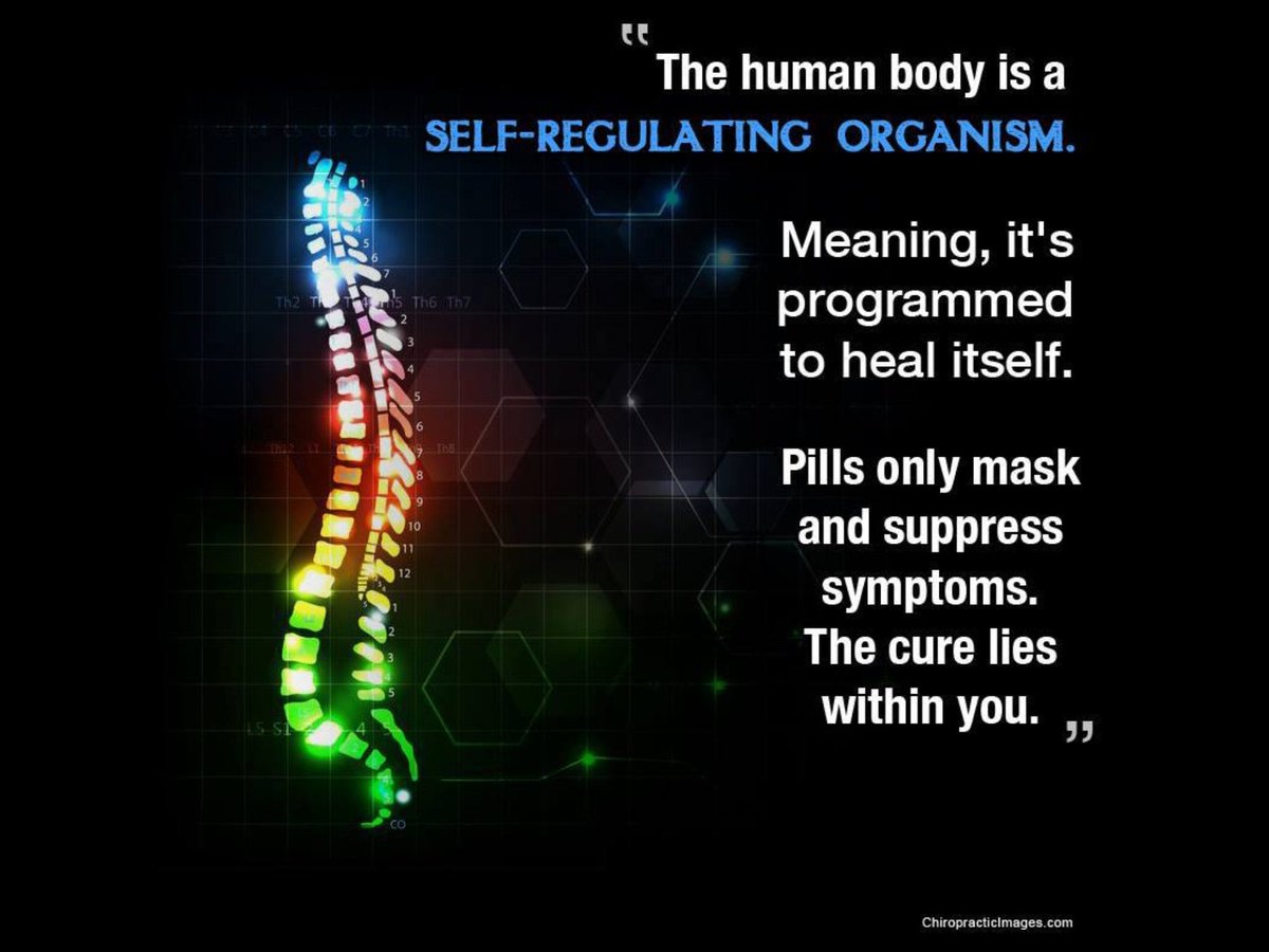 SpinalDiscCtr's tweet photo. Every organ in your body is connected to the one under your hat.  – BJ Palmer https://t.co/q9Jrrveu13