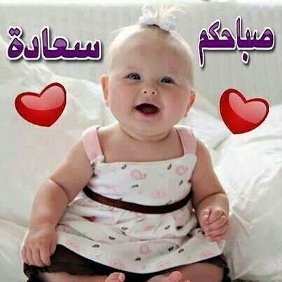 InstaDamascus's tweet photo. صباح الخير by noro_alkoria https://t.co/HbsjizOc43 https://t.co/wGR6MtxDLW