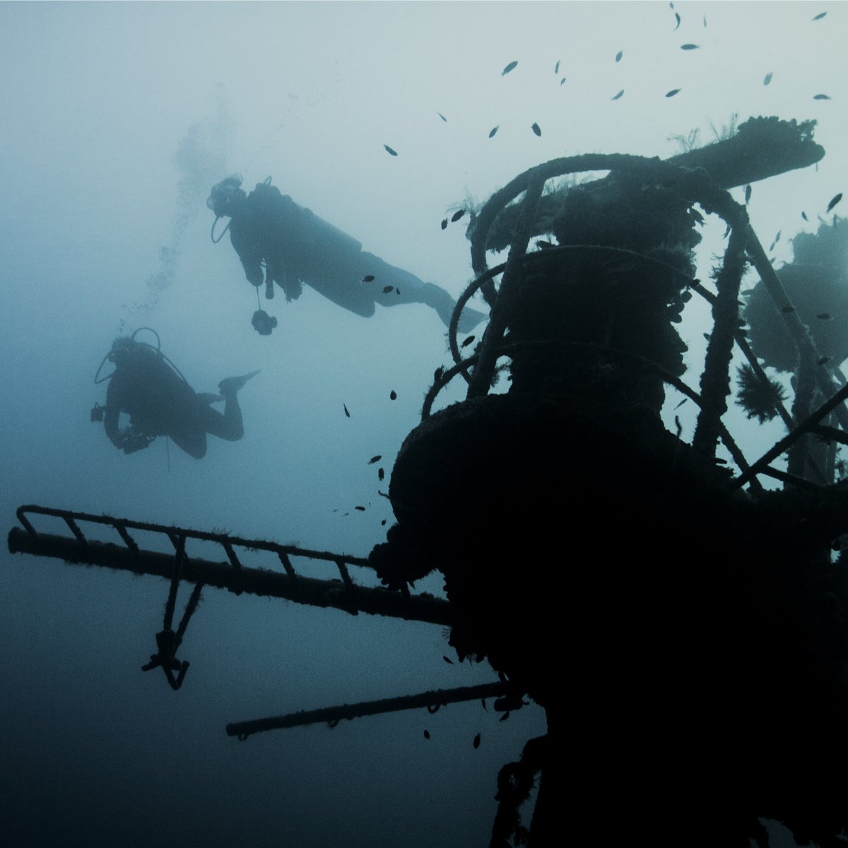 DiveTruk's tweet photo. Not all wrecks in Chuuk are Japanese, here 2 divers descend on the Micro Trader inter-island supply vessel #truk https://t.co/WzV2NtYhLB