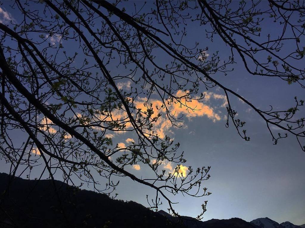 Feia molt de temps que no em passava. Quant? No ho recordo, i això vol dir que feia bastant de temps. Ara he començ…