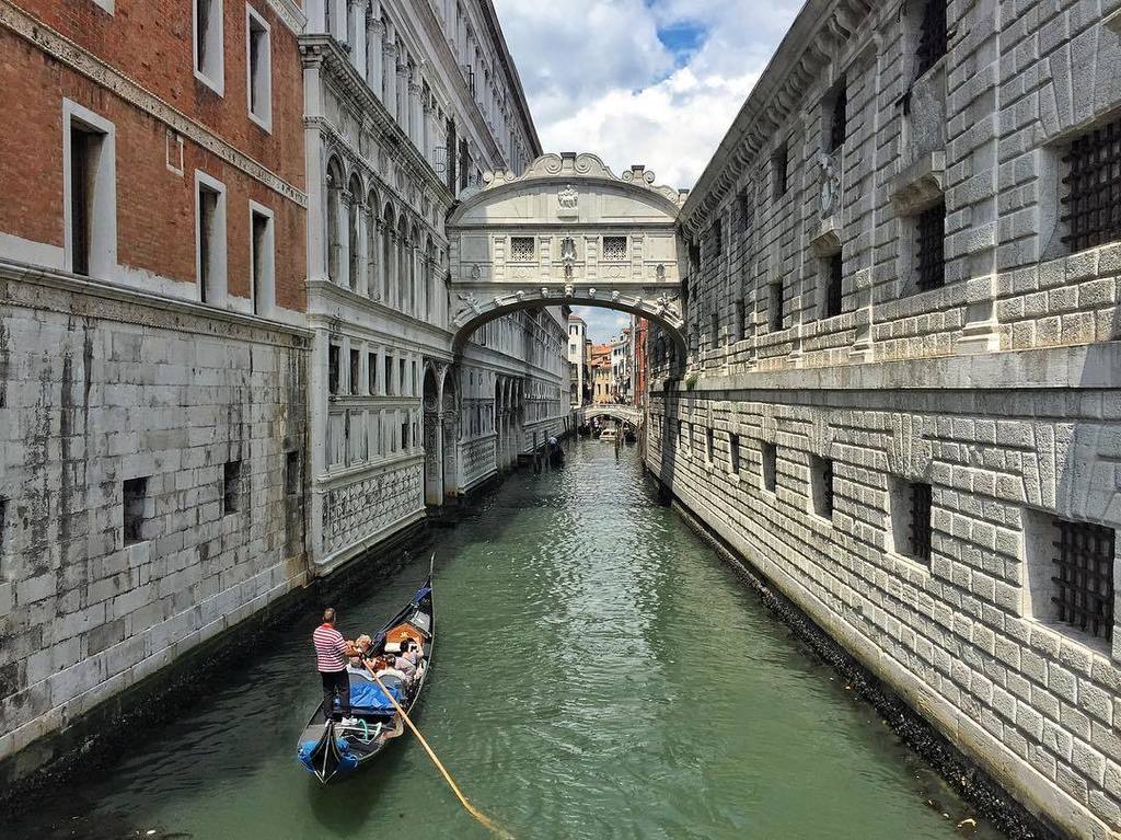Venice tweet media