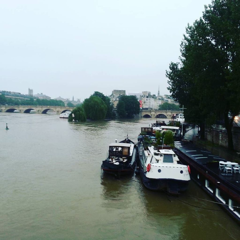 BotGCrise's tweet photo. Depuis le pont des Arts les péniches n'ont plus de quai. #inondation by missplanete https://t.co/LvIc50Jx2Z