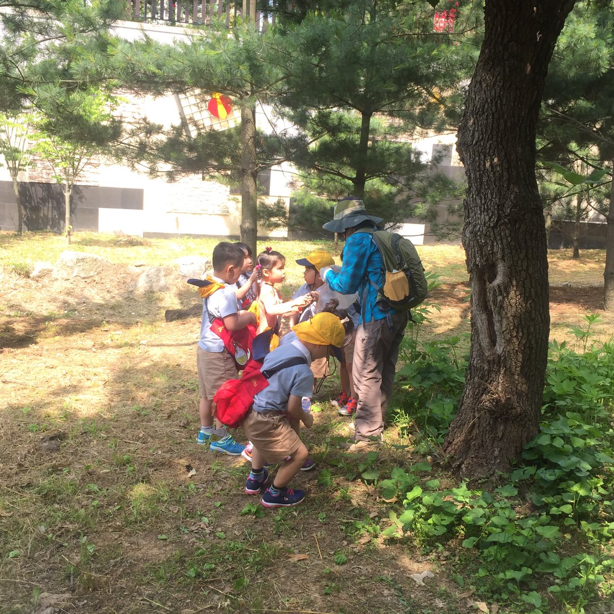 #성남시국공립 판교어린이집# 오늘 만4세 아이들은 금토산에 숲놀이 왔어요. 너무 다행이 미세먼지도 없고 숲속 안은 그늘이 있어서 시원하고 좋아요^^