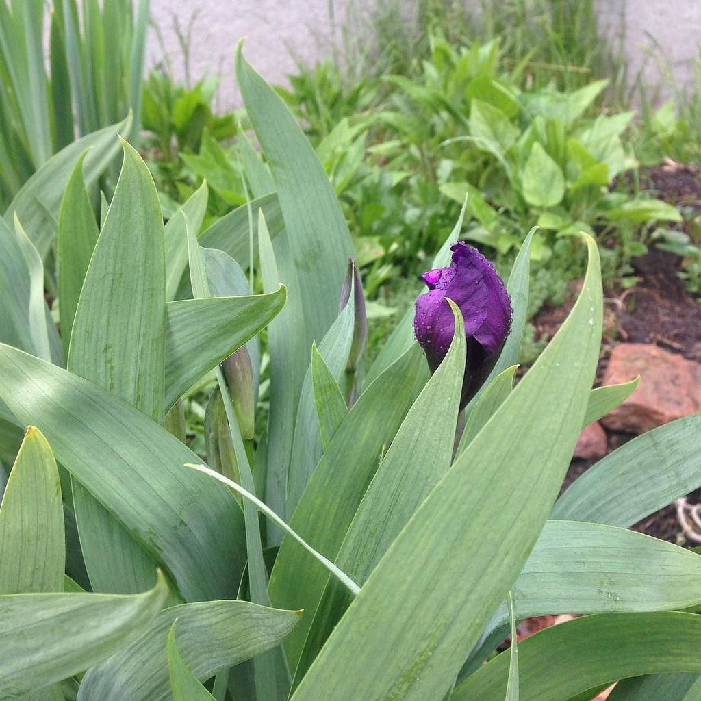 Друзья, ура! Пришло долгожданное лето!☘🌞🚴⛱Всем удачных отпусков!😄 #красноярск