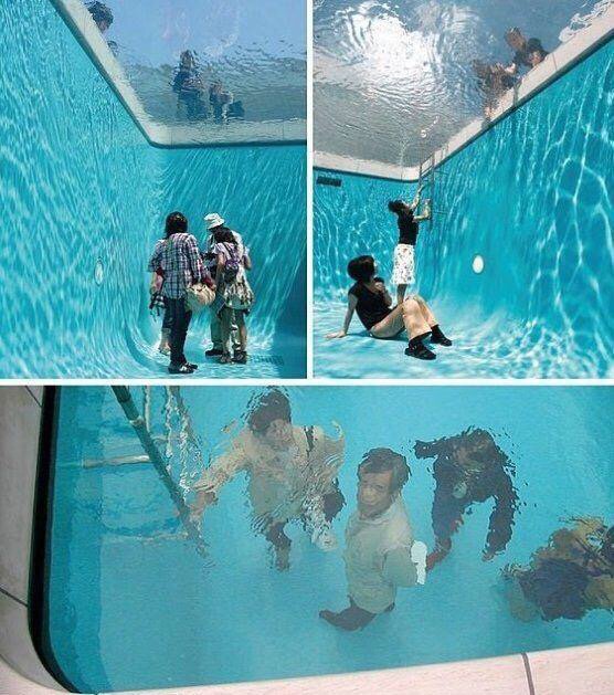 CauseWereGuys's tweet photo. Fake Swimming Pool. I would pretend to drown in this so i could see someone dive on to a solid surface.. https://t.co/Oz9fEoVlly