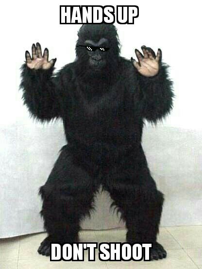 TeamSasquatch's tweet image. With all the Cinci Zoo controversy... Cousin Dre wanted to make a peaceful protest... @sasquatch_labs