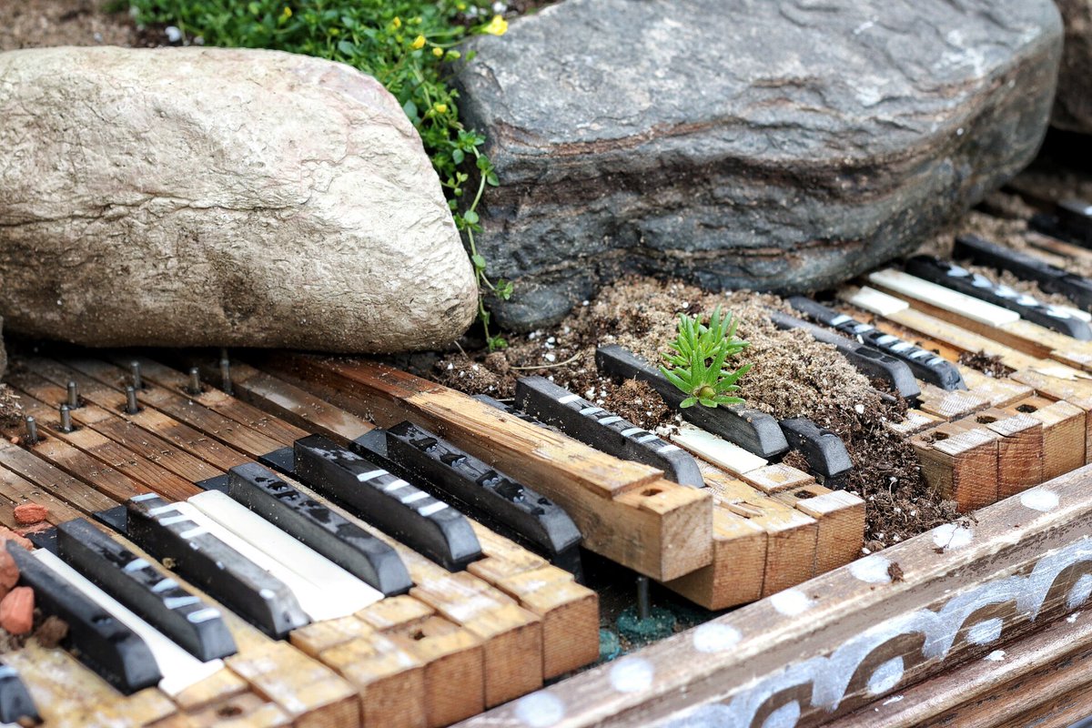 MarketRegina's tweet photo. "Open Air Pianos" reborn as little plant worlds in @ReginaDowntown. We love art on the Plaza! #YQR #YQRdt https://t.co/GPV76kcYWk