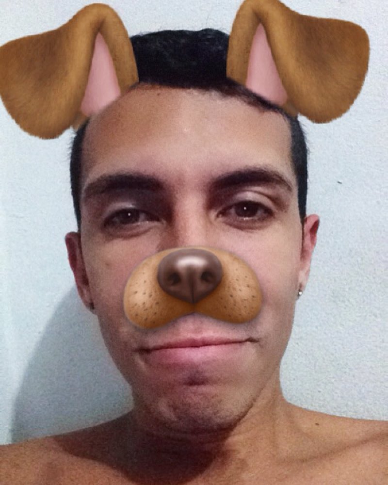 dogsofinsta's tweet photo. Alguém me adota? Sou Fofinho ó! 🐶☺️ #photo #boy #errejota #likeforlike #dog #snap by ronaldodms #dog #cute https://t.co/ErAV7qcFzO